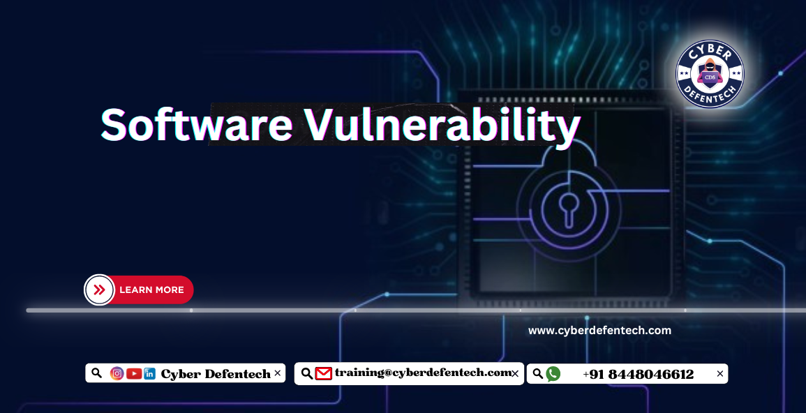 Software Vulnerabilities In The World