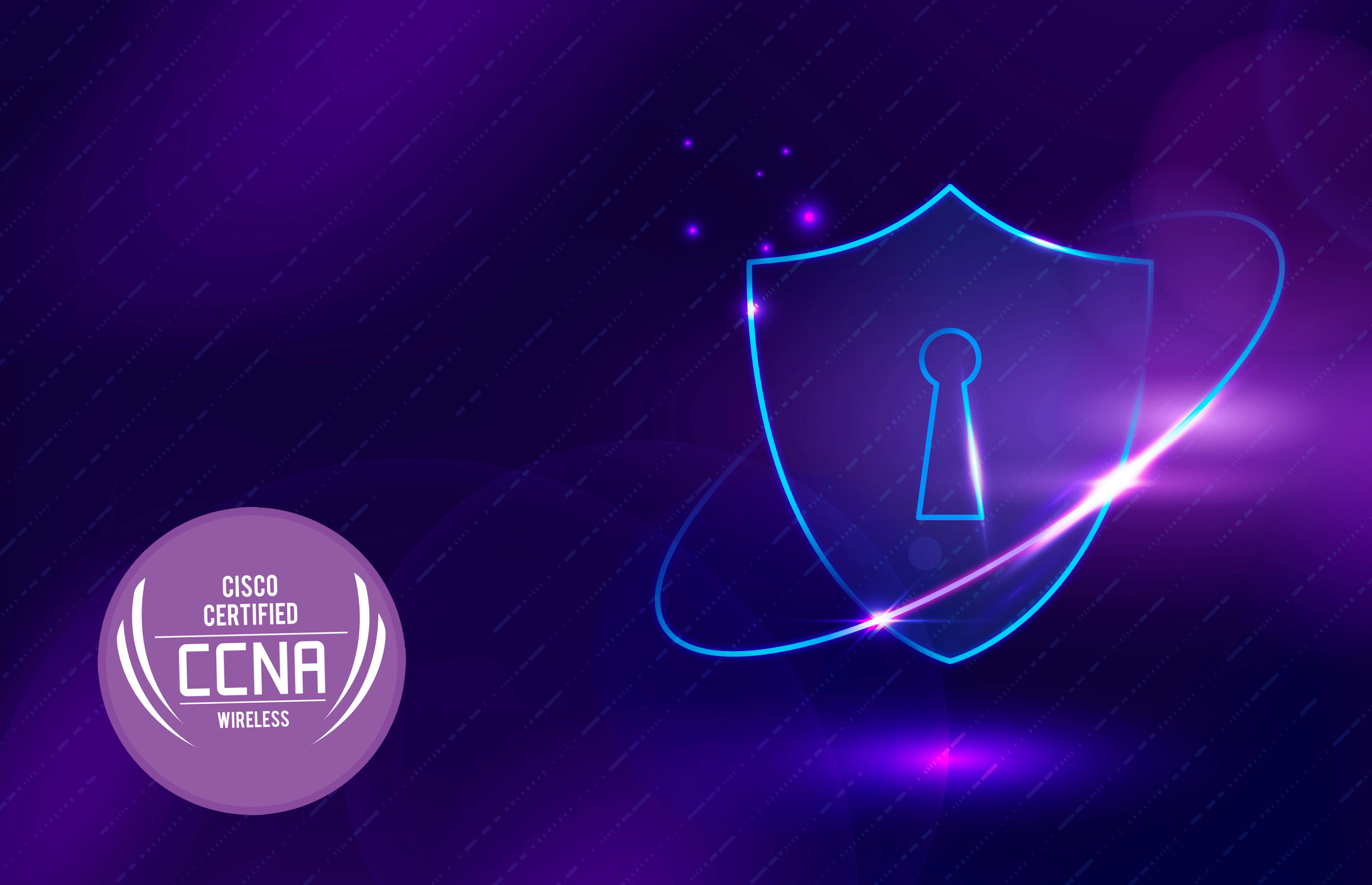 Network Penetration Testing