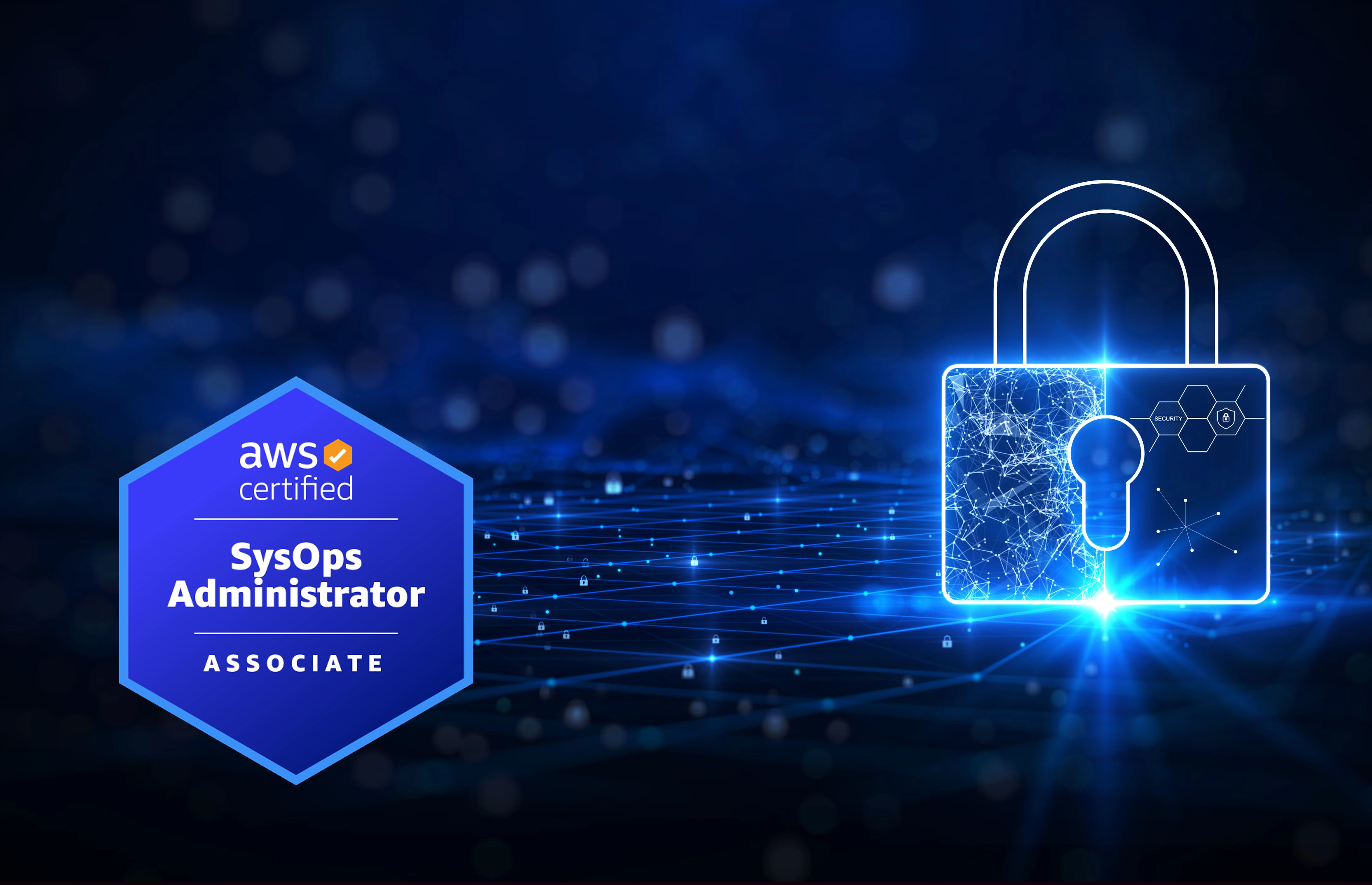 Network Penetration Testing