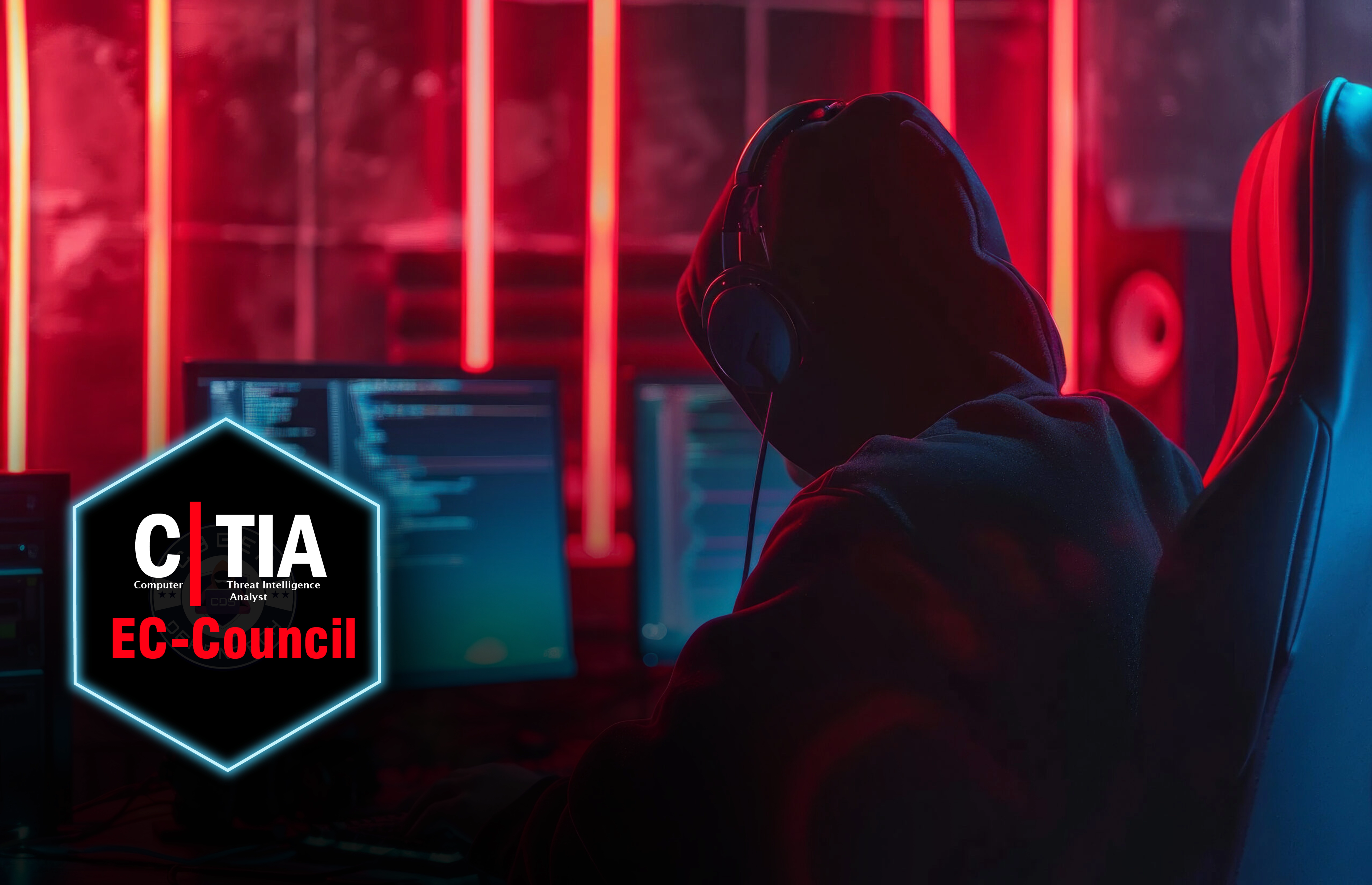 Network Penetration Testing