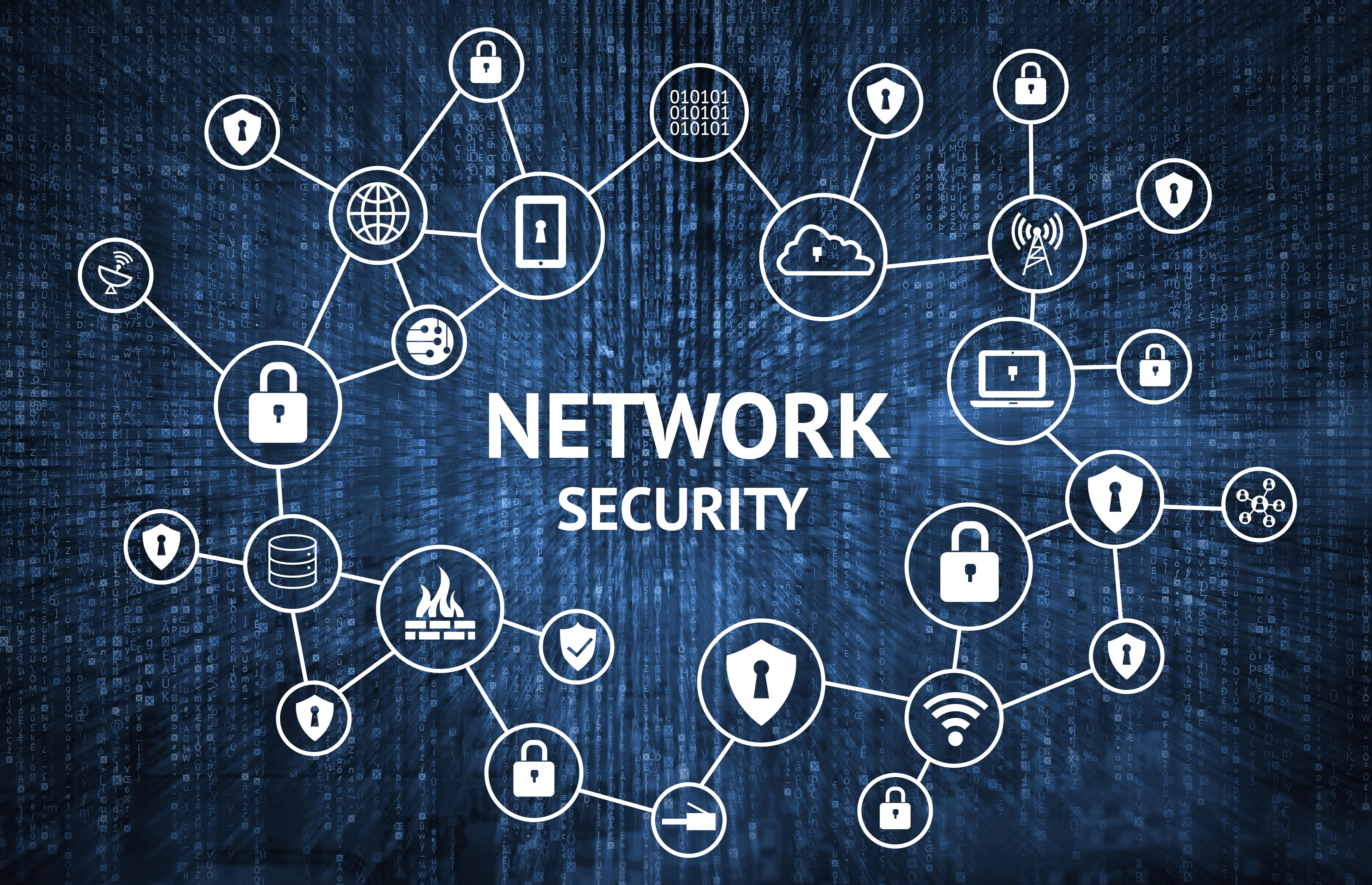 Network Penetration Testing